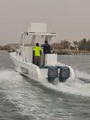 2 Bateaux à vendre