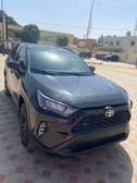 Toyota RAV4 LE 2020