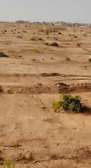 Terrains de 200m2 à vendre à MBOUR 4