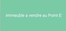 Immeuble a vendre au POINT E