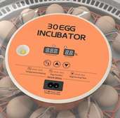 Incubateur automatique 30 œufs température humidité