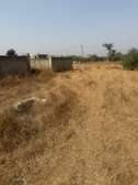 Terrain constructible et agricole calme