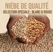 Niébé disponible