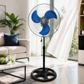 Ventilateur sur pied et plafonnier