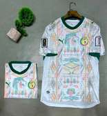 Puma Maillot Sénégal 2024 Blanc Col V Vert