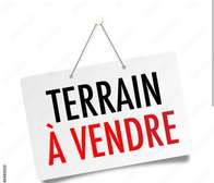 Terrain TF à vendre à kounoune