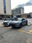 BAIC (Beijing) X7