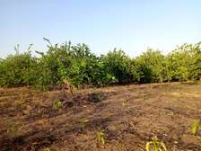 𝐕𝐞𝐫𝐠𝐞𝐫 𝐝𝐞 1 𝐡𝐞𝐜𝐭𝐚𝐫𝐞𝐬 6000m2 𝐞𝐧 𝐩𝐥𝐞𝐢𝐧𝐞 𝐩𝐫𝐨𝐝𝐮𝐜𝐭𝐢𝐨𝐧