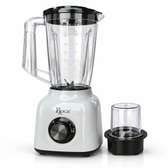 MIXEURE ROCH 1.7LITRES 2 EN 1 BLANC RBL358D