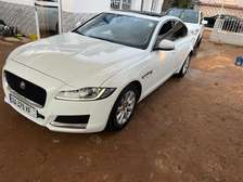 Jaguar XF 2017 full option gasoil