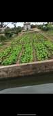 Ferme en activité 2 hectares