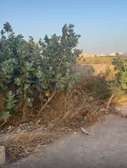 Terrains 150m2 TF à vendre à Senegindia