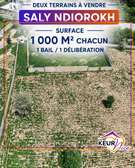 Terrains de 1000 m² à vendre à Saly