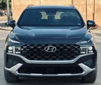 Hyundai Calligraphy 2022