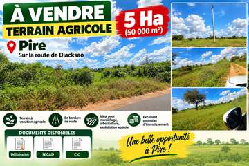 CHAMPS DE 5HA EN BORDURE DE ROUTE À PIRE