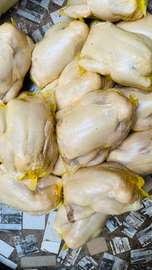 Poulet de chaire