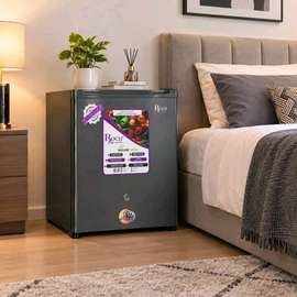 REFRIGERATEUR ROCH BAR 1PORTES GRIS RFR60SI
