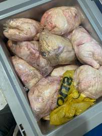 Poulet de chair