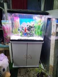 Aquarium complet multicolore avec 4 poissons