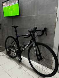 Wilier triestina