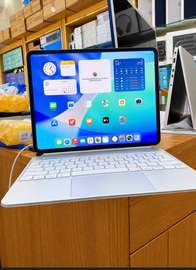 iPad Pro 13" M4 (16 Go RAM / 1 To SSD / 5G )