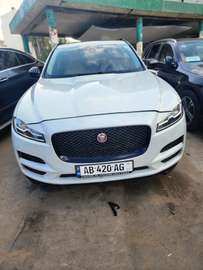 Jaguar essence