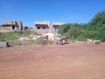 Vente de terrain