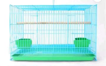 Cage oiseaux grande taille bleu vert perchoir bois