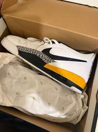 Jordan 312 low