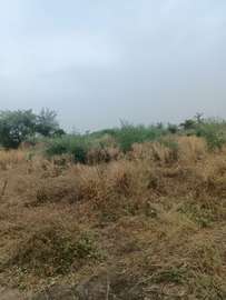 21 hectares à vendre à sindia entre Nguekhokh et Ngerigne
