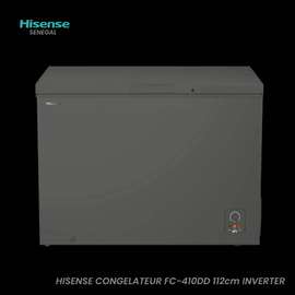 CONGELATEUR HISENSE HORIZONTAL INVERTER GRIS 400l