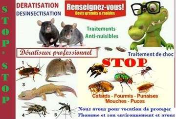 Désinsectisation-dératisation-dereptilisation