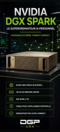 DGX SPARK NVIDIA ARM PROCESSOR 128 GB DDR5