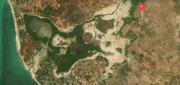 A VENDRE – Terrain de 600 m2 à Nguérigne Peulh (Sindia)