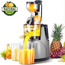 Naturale Juicer extracteur de jus lent 1,2L argenté