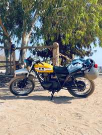 Kawasaki 250 TR Scrambler