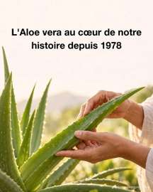 Bien être