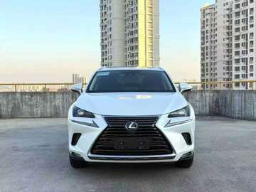 Lexus NX300h 2020 SUV Hybride 2.5L Blanc