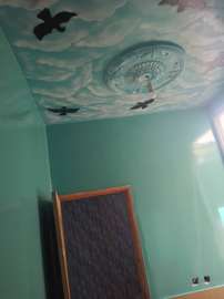 Plafond peint oiseaux bleu ciel vert tendre déco