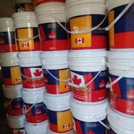 Promotion peinture canadienne satine