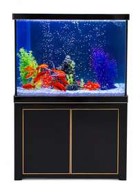 Aquarium