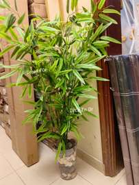 Bambou avec cache pot transparent et déco
