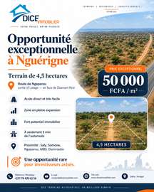 Nguérigne – 4,5 hectares