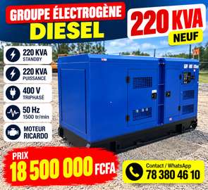 Groupe électrogène diesel 220 KVA moteur Ricardo