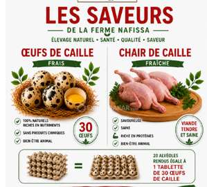 Ferme Nafissa œufs et chair de caille naturels