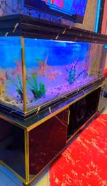 Très jolie et  grand Aquarium de 250 Litres et 1m50 de long