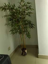 Decoration a vendu