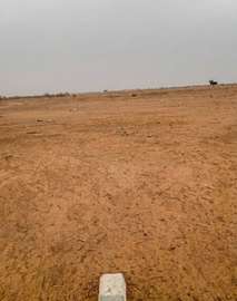 Thies Sanghe