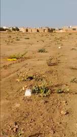 Terrains de 200m2 à vendre à MBOUR 4