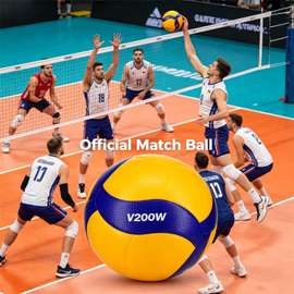 Ballon de volley-ball